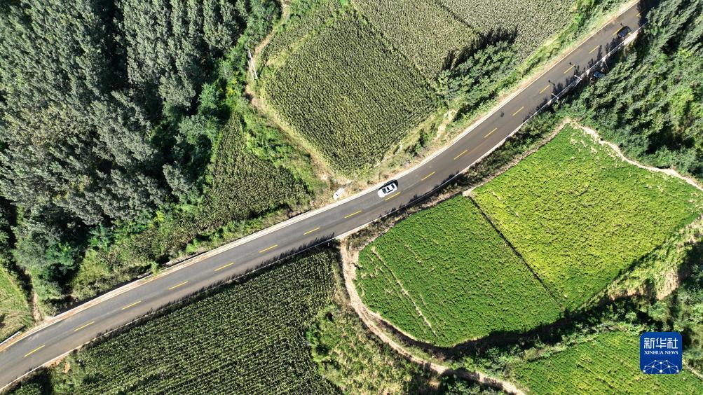 宝马线上线路检测